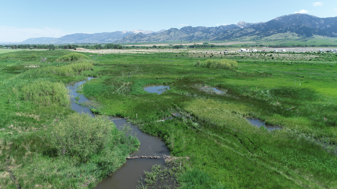 Map of Restoration Projects